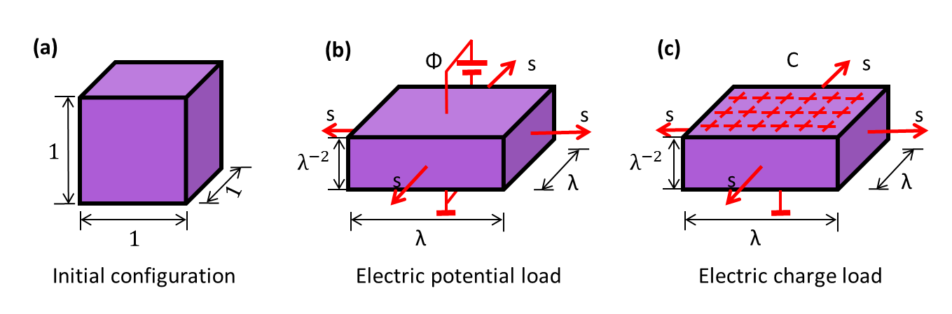 Fig.1